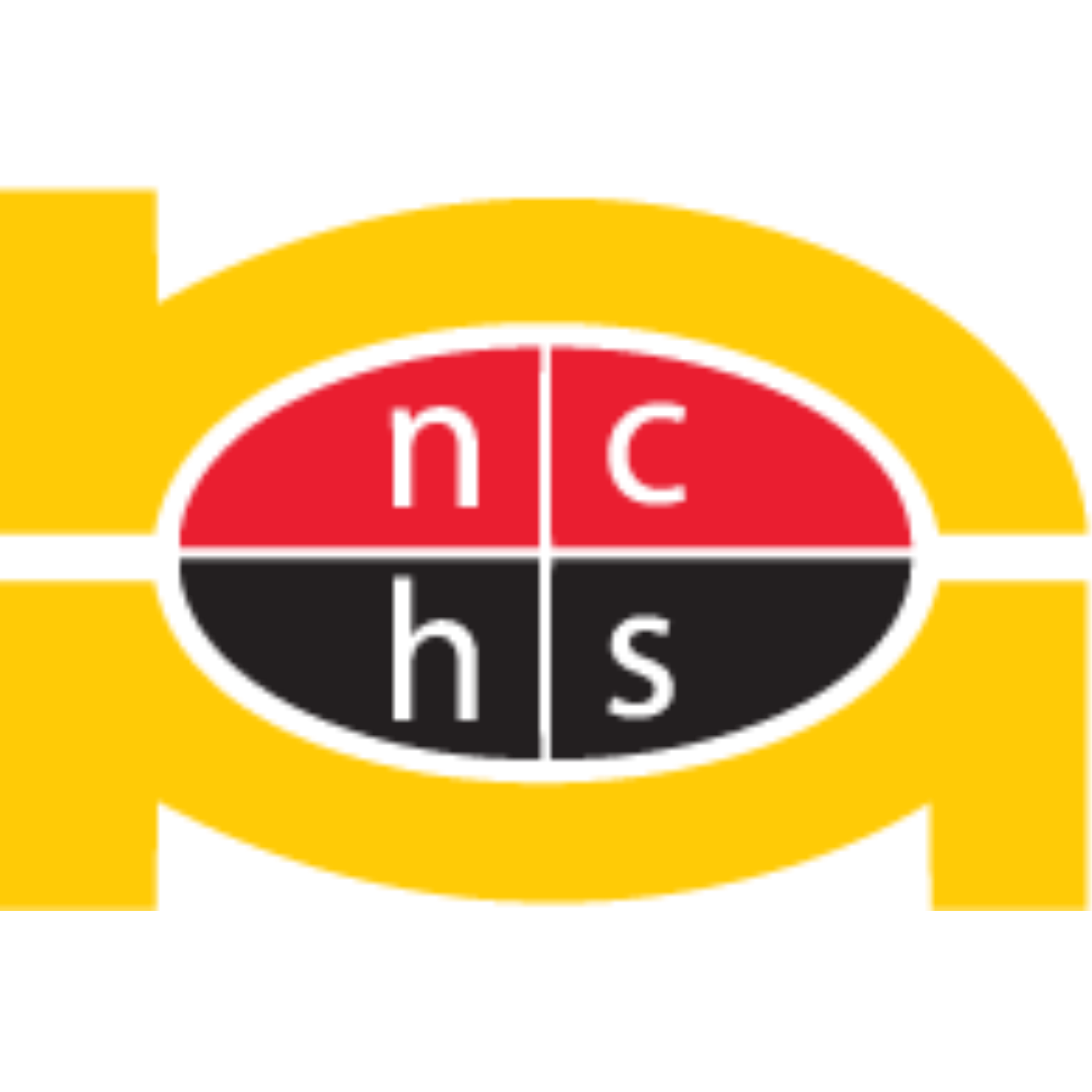 Nawaloka College of Higher Studies logo